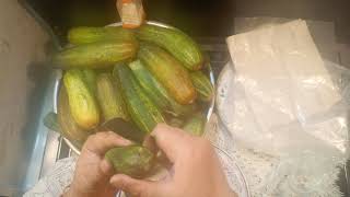 How to save  Cucumber ?/ کھیرا محفوظ کرنے کا طریقہ