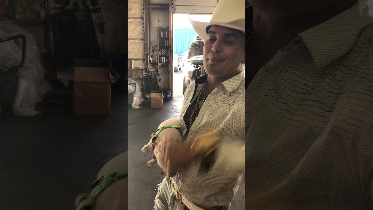 KENNY AVILA AND DIESEL PERFORMANCE IF YOU NEED COMMERCIAL CALL OH TEXT ME (505)5061689 🤠 i got chu!