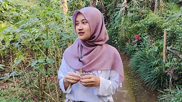DERITA NIKAH BEDA USIA.! JANDA DESA CANTIK HIDUP SENDIRIAN DI RUMAH TERPENCIL DEKAT HUTAN