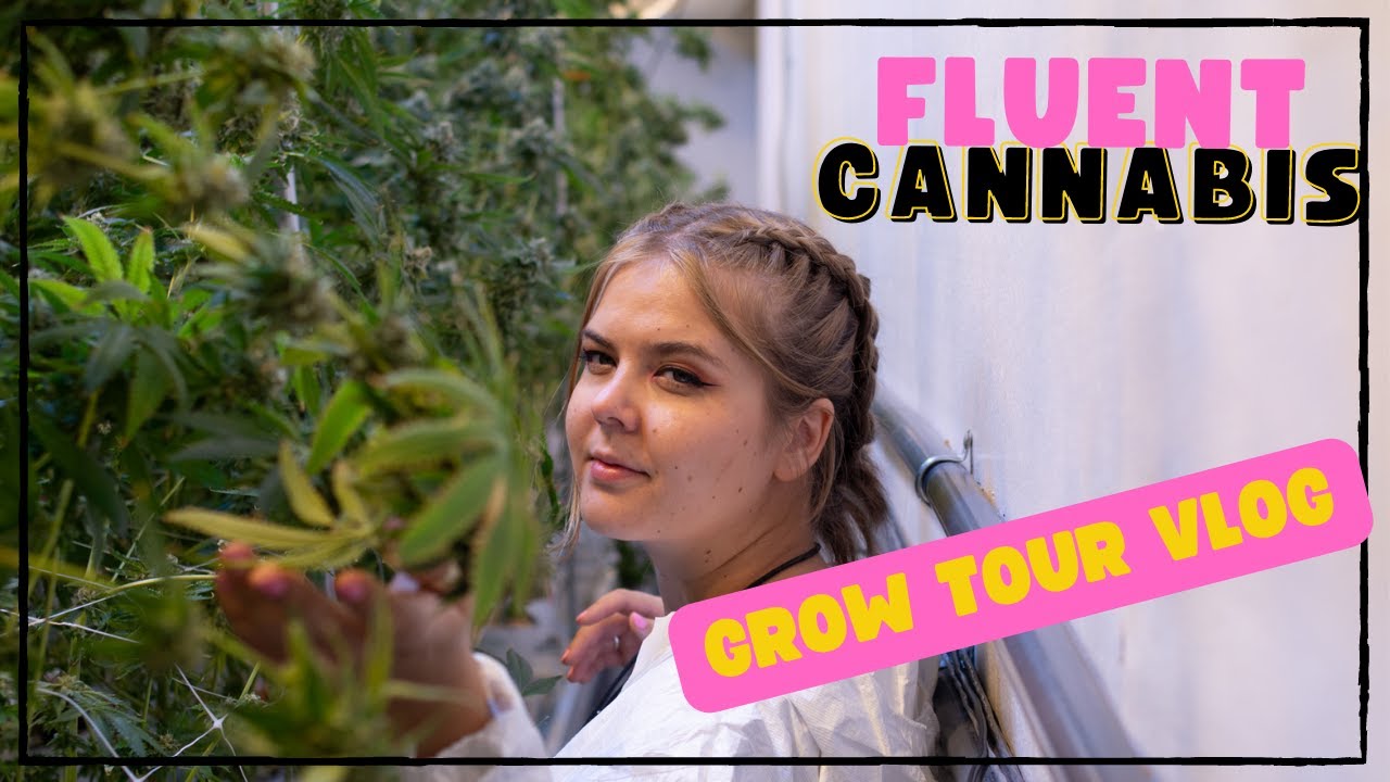 My First Time Touring a Flower Grow In Florida | Fluent Cannabis Flower Grow Tour
