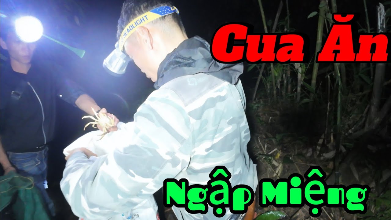 Охота на пчёл, ночное дежурство, ловля крабов, жизнь в лесу — ИВИ ФОРЕСТ