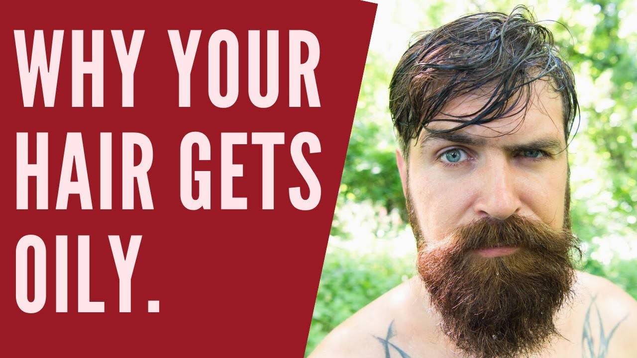 Why Hair Gets Oily - TheSalonGuy