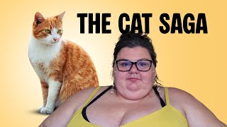 The Cat Debacle - Wake #qlr  When September Ends! A Quick Quirky Update
