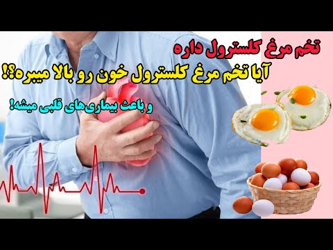 رابطه مصرف تخم مرغ و خطر مرگ ناشی از بیماری های قلبی عروقی قلب کلسترول تخم مرغ