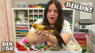 Birds, Butterflies, and Bugs! 🎨 I bought an 80 year-old lady's craft supply collection - Bin 58