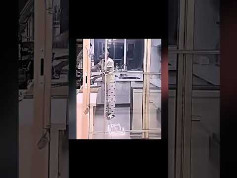 딸을 구한 아버지 운명은? #shorts