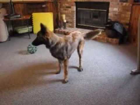 lava tricks 1213.wmv