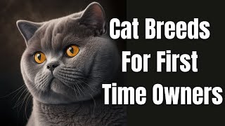 10 Top Cat Breeds For First Time Owners