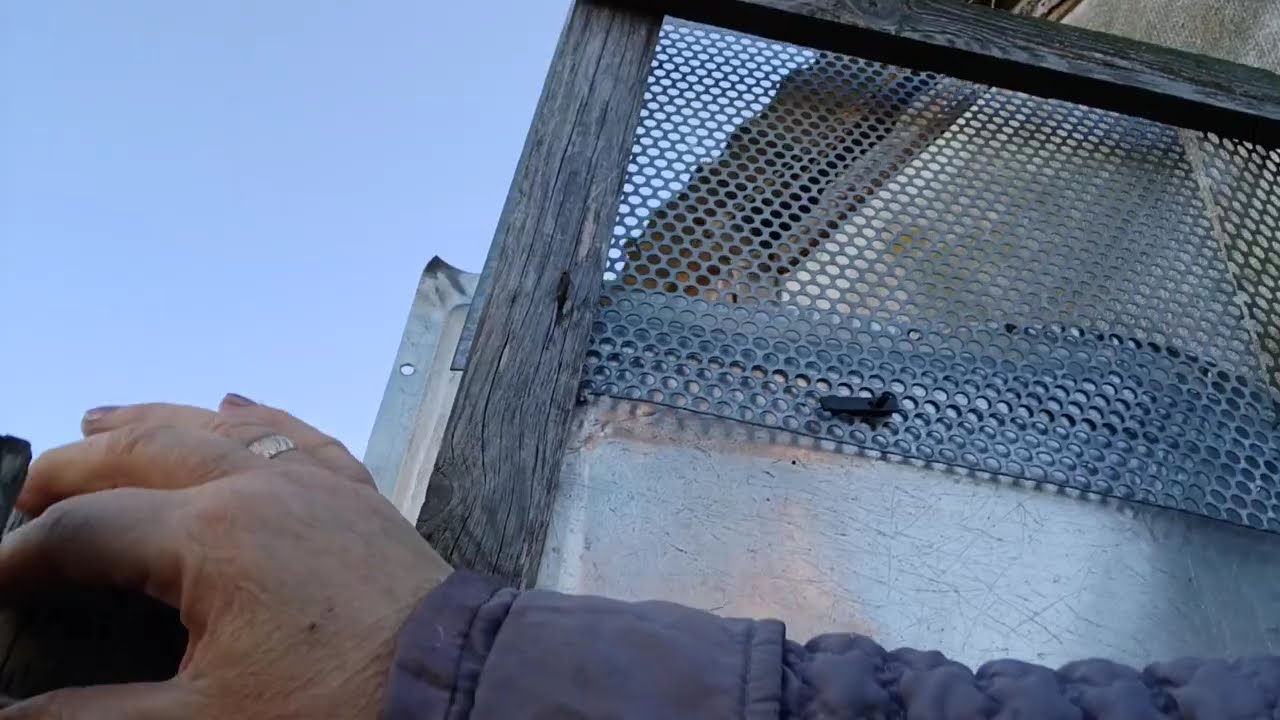 Пуховый платок +... 28 октября 2025 г.Зарисовки сельской жизни..