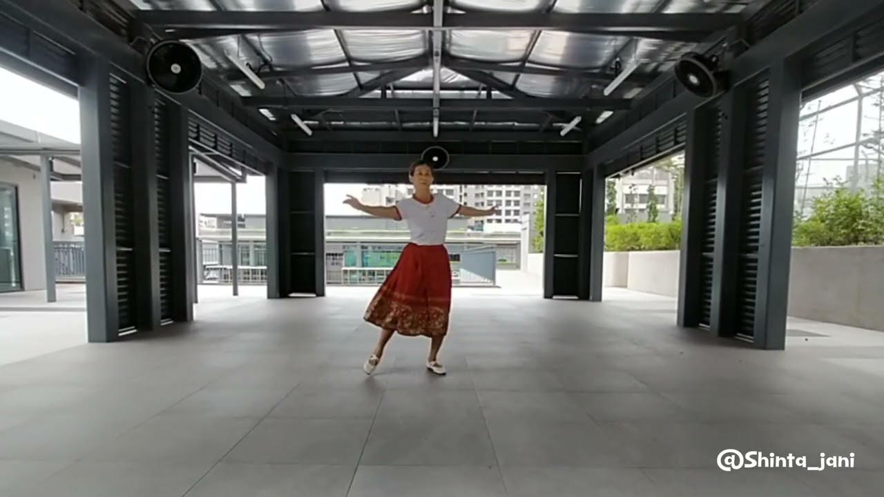 WIND BLOW AND SNOW FALL Line Dance