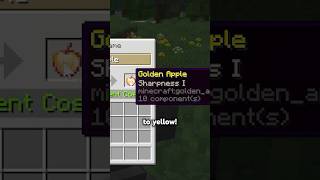 Minecraft Item Color HACK...
