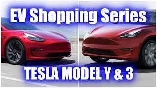 Tesla Model Y and Model 3 Car Shopping - First Impressions