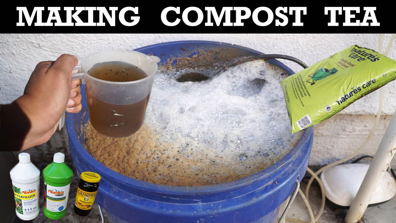 How To Make Compost Tea Organic Fertilizer For Your Plants Youtube