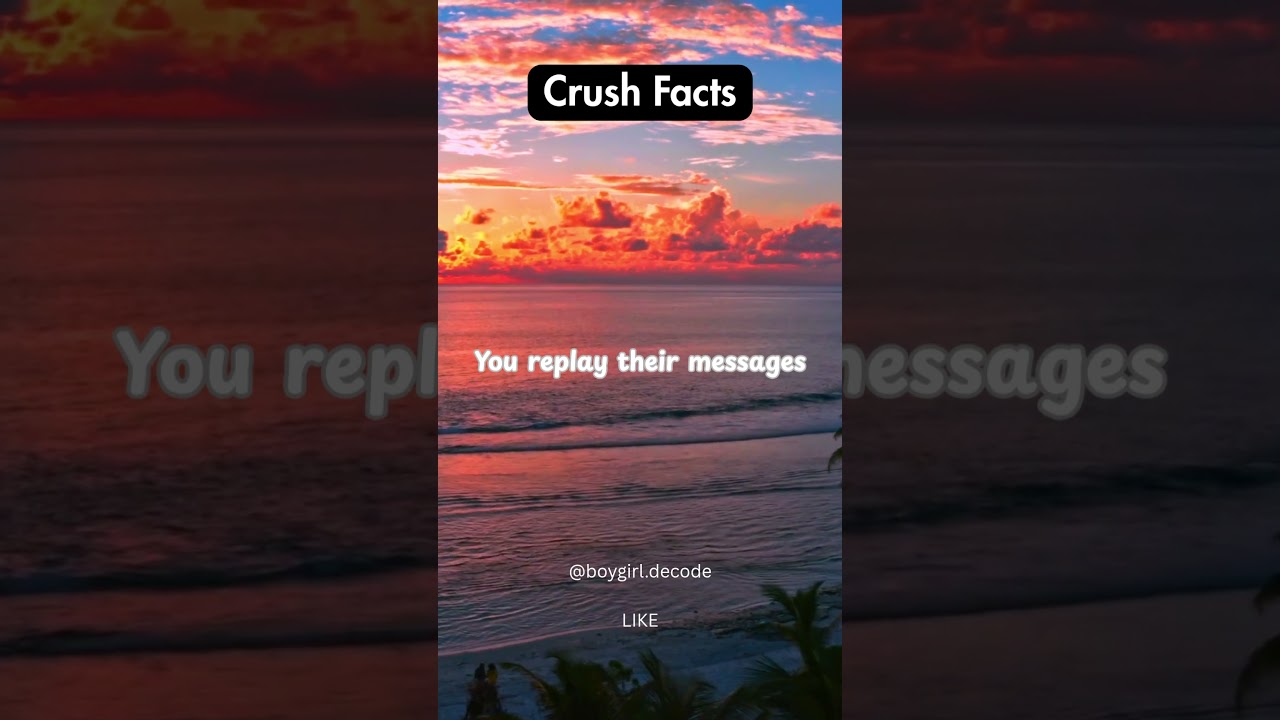 Daily Crush Facts!!