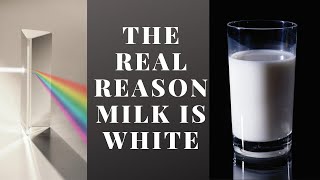 The Real Reason Milk is White (Not What You Think)