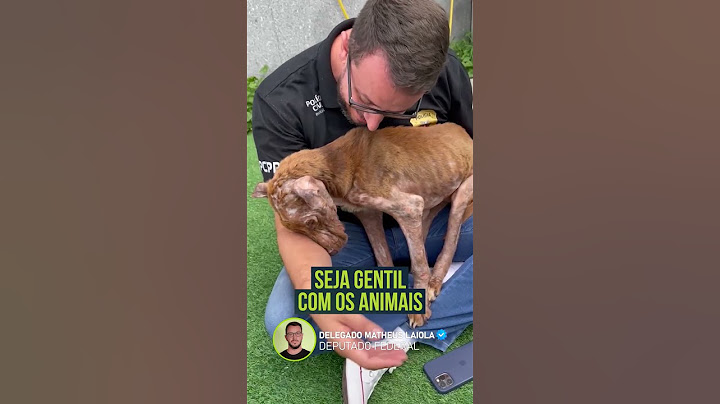 Seja gentil com os animais. A gentileza faz bem também a quem é gentil!