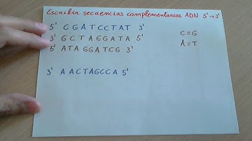 Ejercicio Replicar o duplicar una cadena de ADN. Secuencia complementaria de ADN.