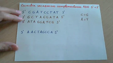 O que significa complementaridade entre as bases nitrogenadas no DNA?