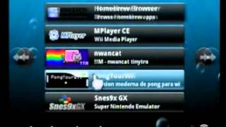 duck hunt tutorial wii 4.3u screenshot 4