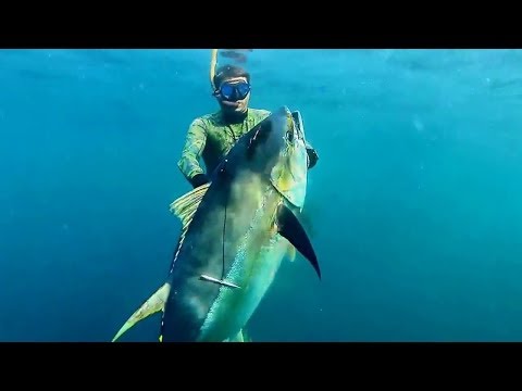 Vídeo: 10 Lugares Para Mergulhar Com Peixes Grandes - Rede Matador