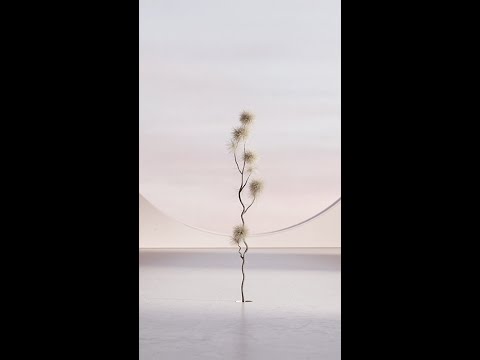 Audi x Andrés Reisinger | A sneak peek