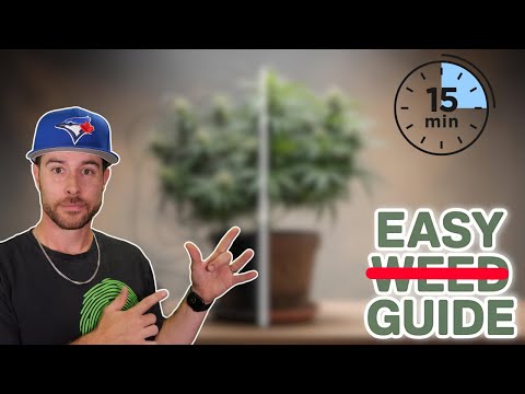 Fool Proof Method to Grow Cannabis | In Under 15 Min