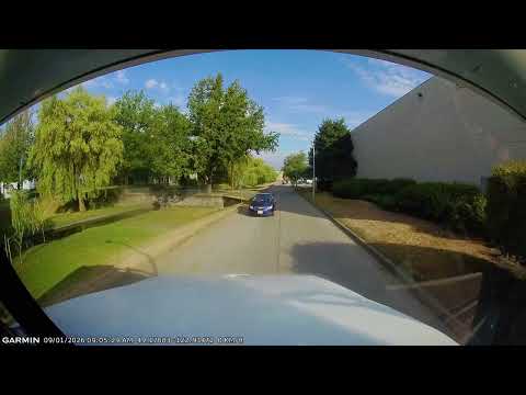 Wrong way driver.......again.