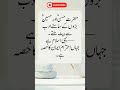 Standing for Truth in Islam