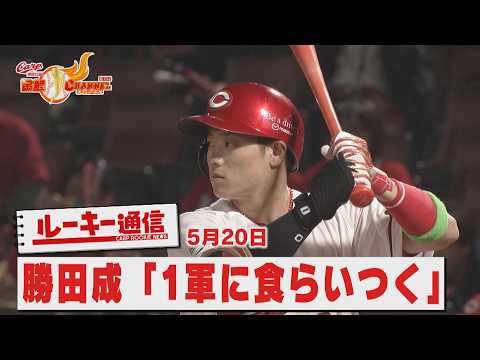 【カープの希望】ドラ3勝田成…サヨナラからの“プロの壁”と覚悟