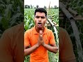 How I Built My Own Irrigation System!"#DesiJugaad#IndianFarmer#Innovation