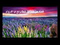 محمد القرطبي 