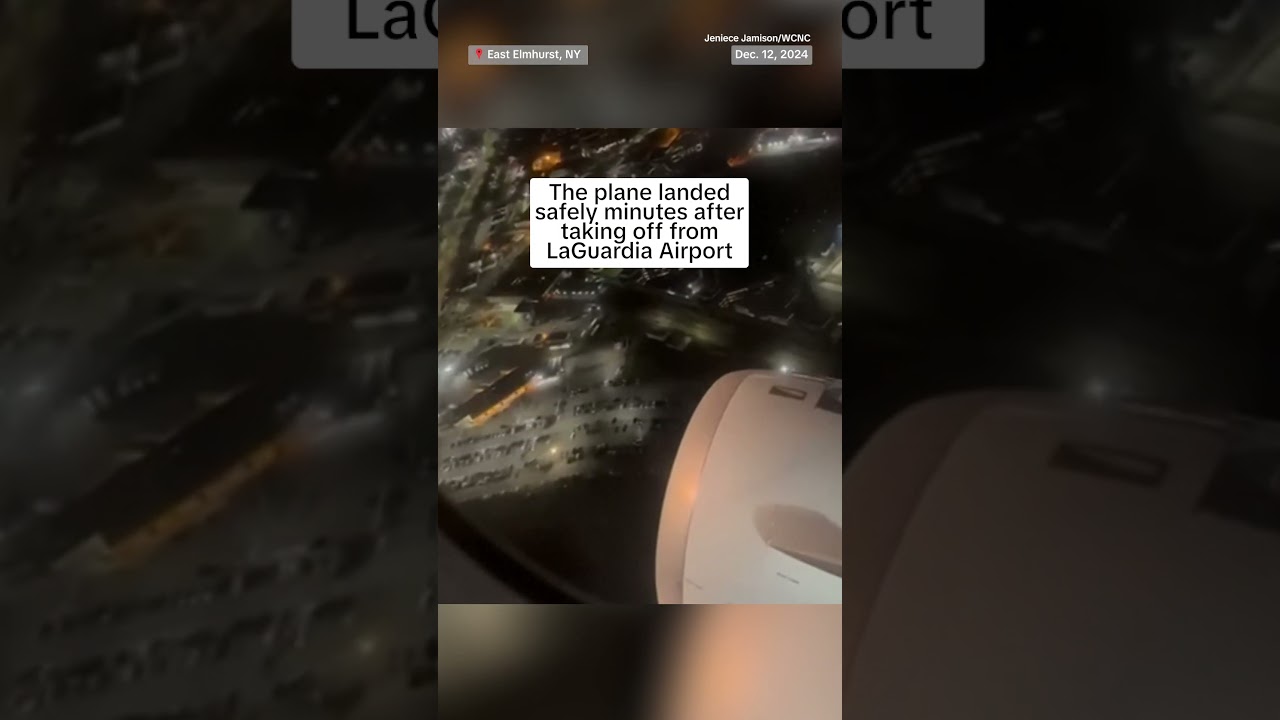 American Airlines flight makes emergency landing after bird strike