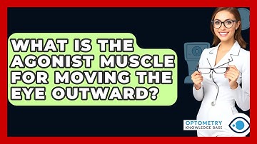 What Is The Agonist Muscle For Moving The Eye Outward? - Optometry Knowledge Base