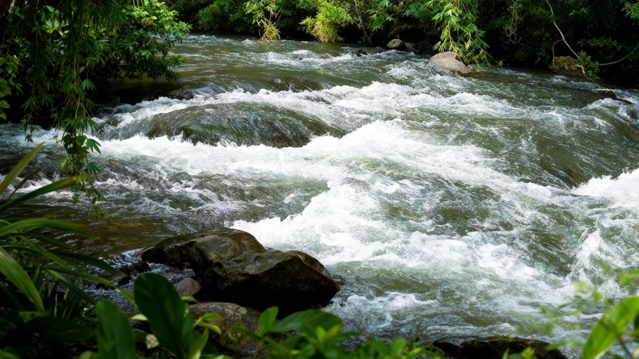 HEALING RIVER SOUNDS, LIVE NATURE ASMR STREAM