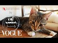 73 Questions With Bella The Cat | Vogue Parody - 7 Intriguing questions with a cute kitten