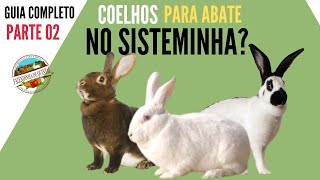 Criação De Coelhos Uma Proposta Para O Sisteminha - Parte 02