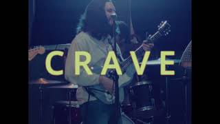 New Vision - Crave  Resimi