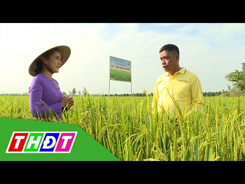 Video VFC Cánh đồng Hội nhập 2022 số 29 - 27/8/2022 | Lúa... - youtube