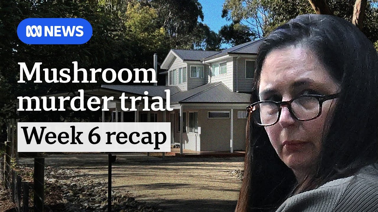 What happened at Erin Patterson's mushroom murder trial in week 6 | ABC News