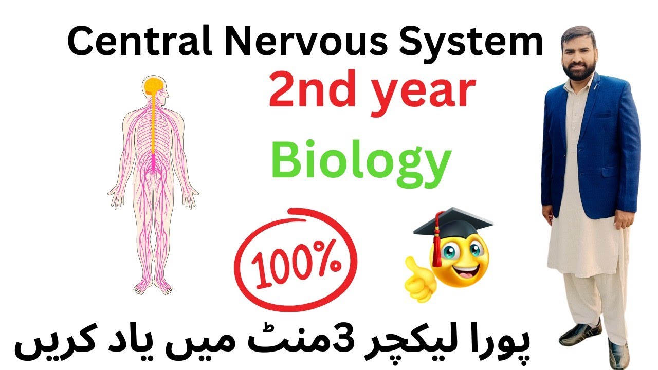 Central nervous system | 12 Class biology | #2ndyearbiology - YouTube