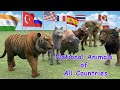 National Animals of Countries | Flags and Countries name With National Animal | #Flags