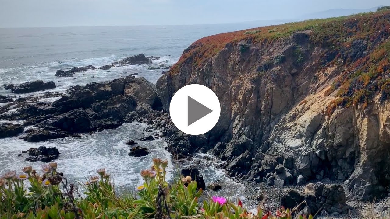 Fiscalini Ranch Preserve, Bluff Trail, CA - Adventure Guru