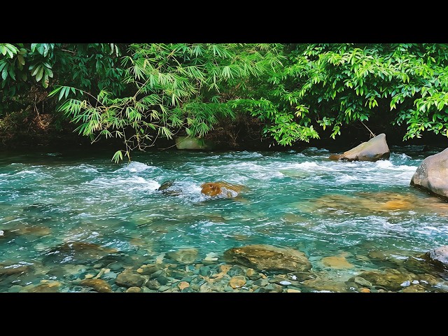 Cozy Ember ASMR 🌿 Gentle River Sounds | No Talking No Music | Sleep Deeply