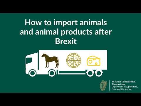 How to import animals and animal products after Brexit