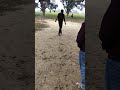 Mid off six#shorts#shortsvideo#viralvideos#viral