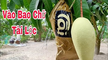 Vào Bao Chữ Tài & Lộc | VTK.CHANNEL