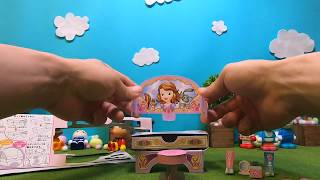 ちいさなプリンセス ソフィア(Sofia the First)お菓子詰合せ！中には！？