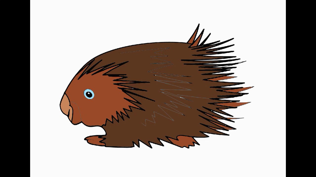 Как нарисовать дикобраза для детей