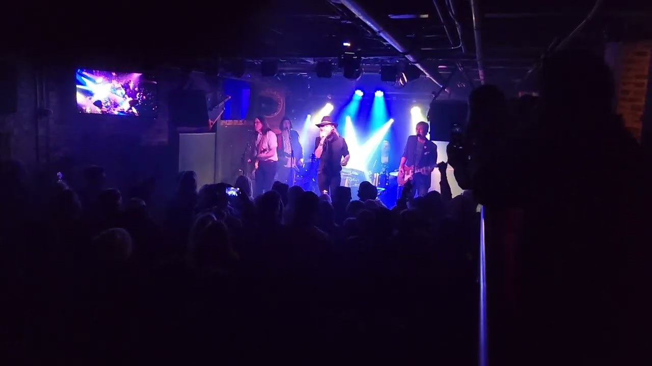 American Salvage Band