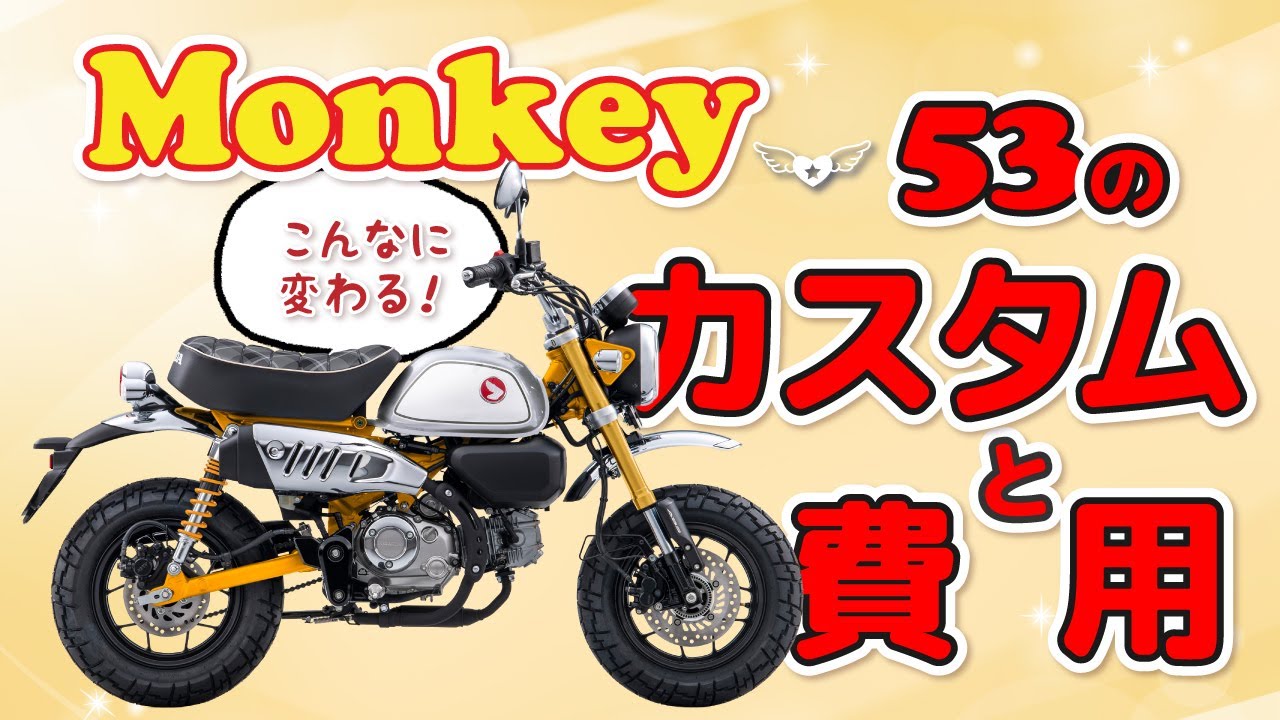 How much the Monkey can change! 53 customizations and costs - YouTube